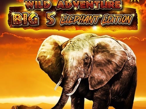 Wild Adventures - Big 5 Elephant Edition thumbnail